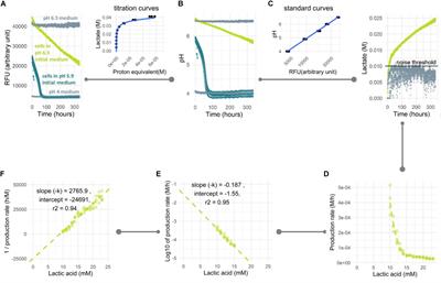 A Novel Method for Long-Term Analysis of Lactic Acid and Ammonium Production in Non-growing Lactococcus lactis Reveals Pre-culture and Strain Dependence